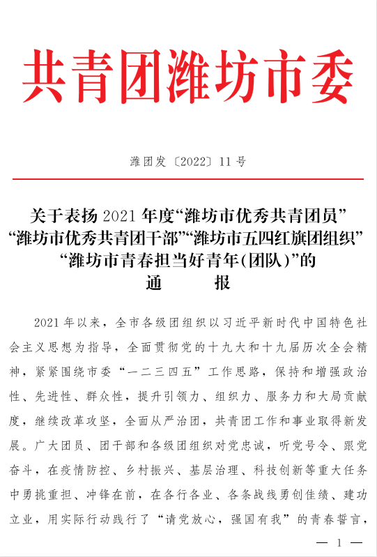 集团青年荣誉 | 共青团潍坊市委、临朐县委授予集团多项殊荣